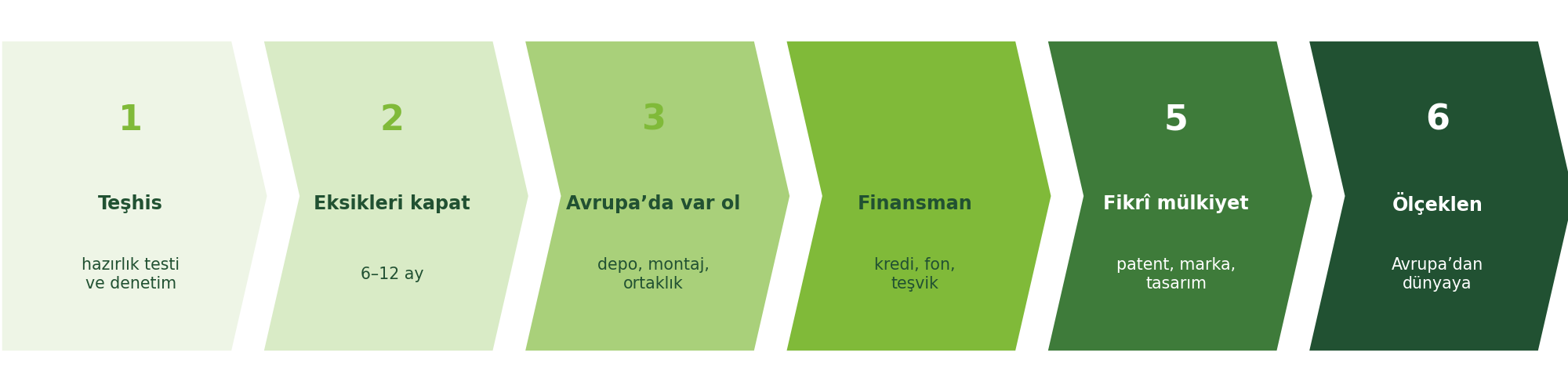 Altı adımlı Made in EU yol haritası.